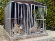 Standalone Kennels, very tidy and an attractive addition to any garden!